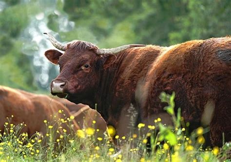 牛年取名_2021年牛年出生的宝宝怎么起名,第2张 牛年取名_2021年牛年出生的宝宝怎么起名,第2张